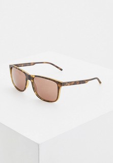 Очки солнцезащитные Armani Exchange AX4070S 802973
