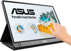 Монитор ASUS MB16AMT (темно-серый)