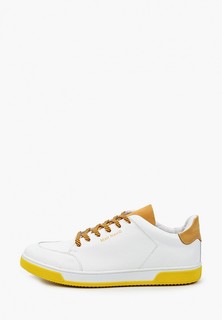 Кеды Matt Nawill 