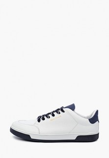 Кеды Matt Nawill 