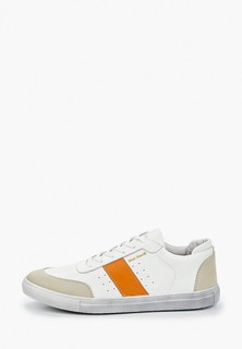 Кеды Matt Nawill 