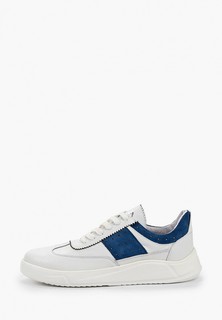 Кеды Matt Nawill 