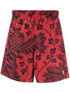 Alexander McQueen плавки-шорты Ivy Creeper