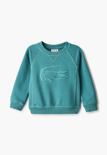 Свитшот Lacoste 