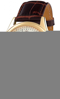 Мужские часы в коллекции Традиция Мужские часы Слава 1589800/300-2115