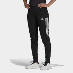 Брюки Condivo 20 Training adidas Performance