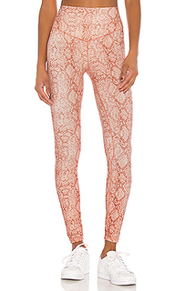 Брюки jackson - lovewave