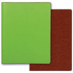 Тетрадь А5+ Феникс+, салатовый + коричневый