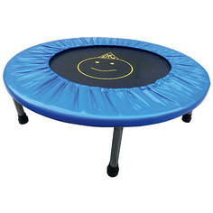 Батут DFC Trampoline Fitness 32 дюйма (81 см)