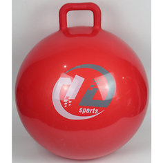 Мяч-попрыгун Z-Sports с ручкой, 65см, красный