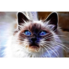 Картина-открытка мозаикой Molly "Сиамский кот"