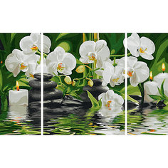 Картина-триптих по номерам Schipper Цветы Wellness-Oase, 50х80 см