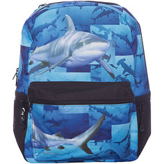 Рюкзак Sharks, цвет (черный/мульти) с пеналом Mojo PAX