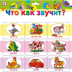 Магнит.Что как звучит? Дрофа Медиа