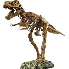 Набор скелет динозавра 91см, Edu-Toys