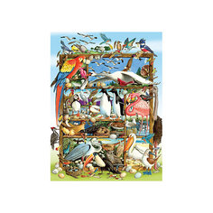 Пазл Cobble Hill "Птицы мира", 400 деталей