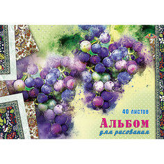 Альбом для рисования Апплика "Виноград", 40 листов