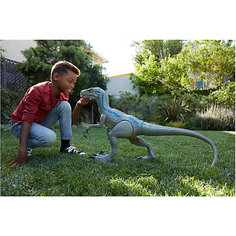 Фигурка Jurassic World Колоссальный велоцираптор Блю Mattel