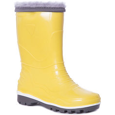 Резиновые сапоги Nordman для мальчика