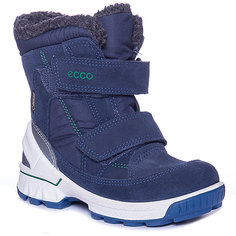 Утепленные сапоги ECCO