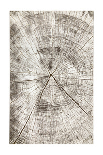 Carpet, 150x230 Ruby