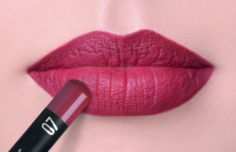 Domix, Карандаш для губ Perfect Lipliner, 1.14 г (8 тонов) Тон 07 Limoni