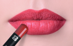 Domix, Карандаш для губ Perfect Lipliner, 1.14 г (8 тонов) Тон 03 Limoni