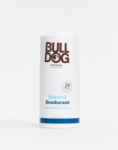 Дезодорант с перечной мятой и эвкалиптом Bulldog - 75 мл-Бесцветный
