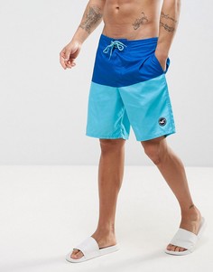 Однотонные пляжные шорты Hollister-Синий