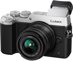 Фотоаппарат со сменной оптикой Panasonic Lumix DMC-GX8 Kit 14-42mm (серебристый)