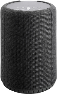 Портативная колонка Audio Pro A10 (темно-серый)