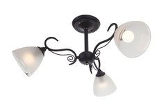 Светильник потолочный Marsell Idlamp