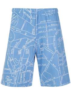 Supreme шорты Gonz Embroidered Map