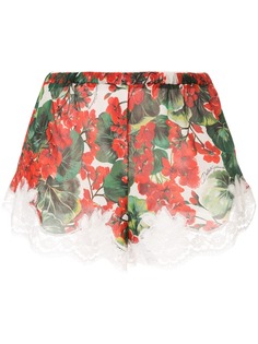 Dolce & Gabbana Underwear шорты с принтом Portofino
