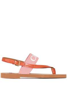 Chloé сандалии с ремешками Chloe