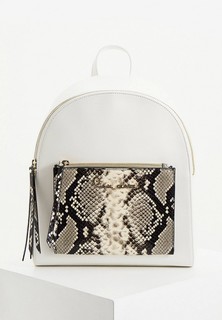 Рюкзак Cavalli Class 