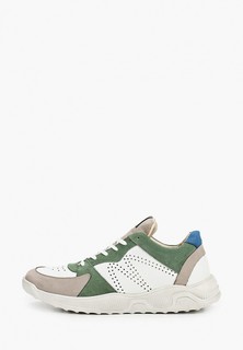 Кроссовки Matt Nawill 