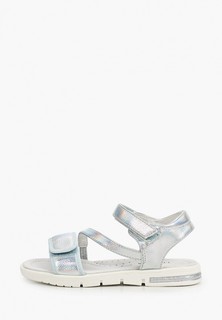 Сандалии T.Taccardi 