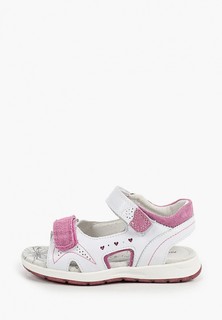 Сандалии Alessio Nesca 