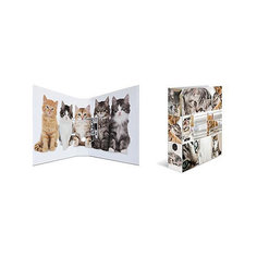 Папка картон a4 - кошки Herma