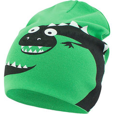 Шапка ПриКиндер