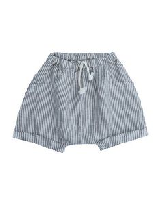 Бермуды 1 + IN THE Family