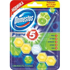 Подвеска для унитаза Domestos Power 5 Лимон/Лайм, 55 г