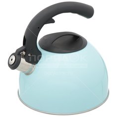 Чайник из нержавеющей стали Daniks MSY-024B голубой со свистком, 3 л