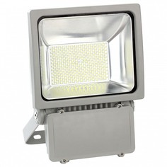 Настенный прожектор S04 09038 Uniel