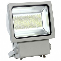 Настенный прожектор S04 09041 Uniel