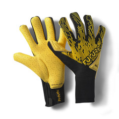Вратарские перчатки FUTURE Grip 5.1 Hybrid Puma