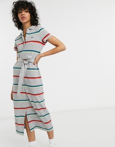 Серое платье миди в полоску с поясом Lacoste-Мульти