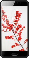 Смартфон BQ mobile Rich Max Black (BQ-5521L)