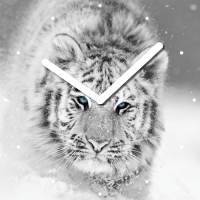 Настенные часы INNOVA W09660 "Белый тигр"